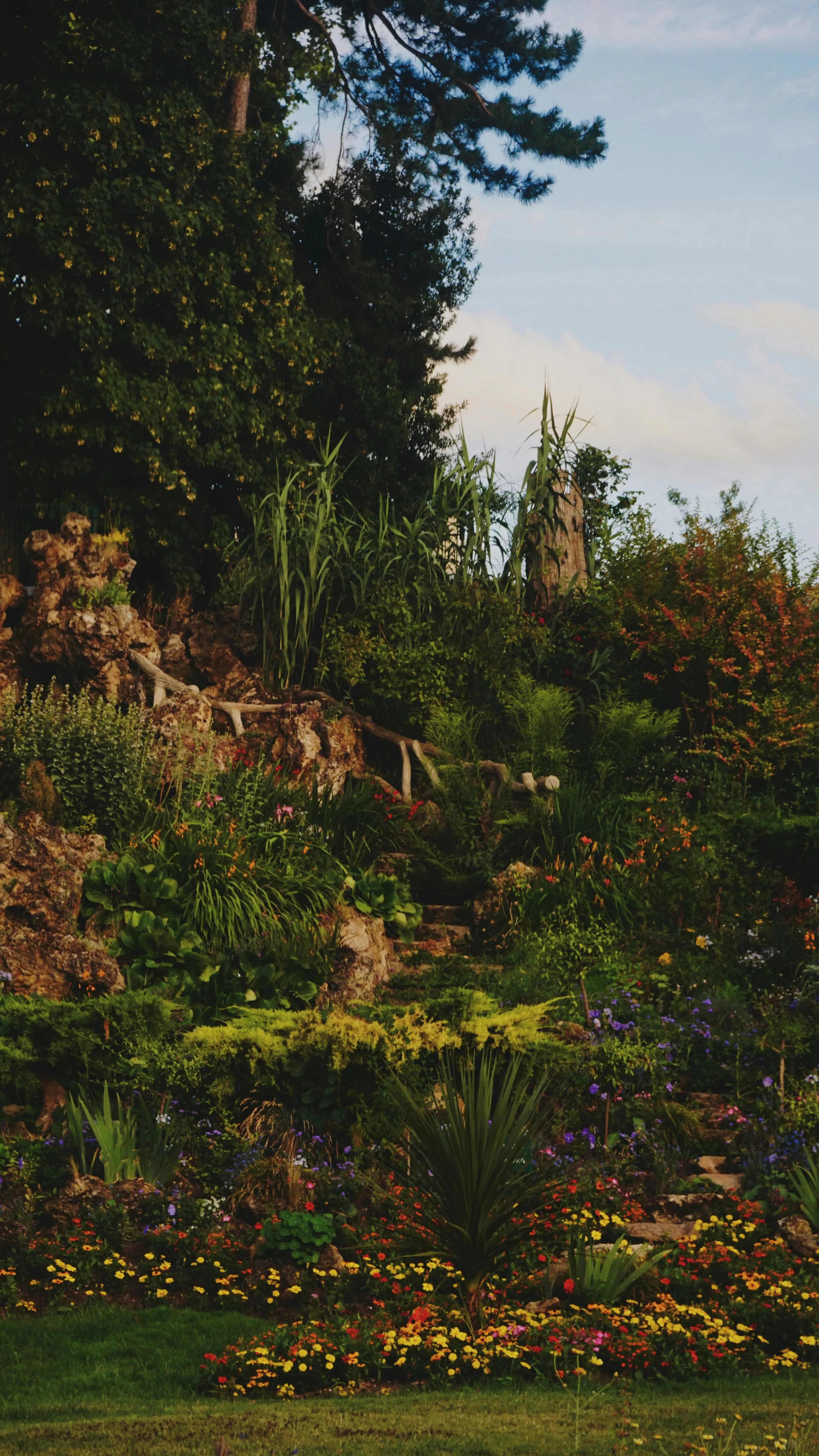 overflowing plant hill